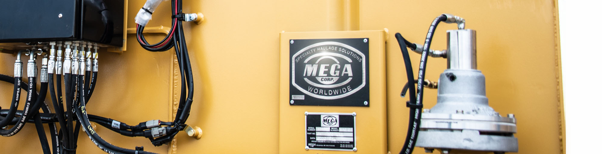 Find Mega Serial Number Banner